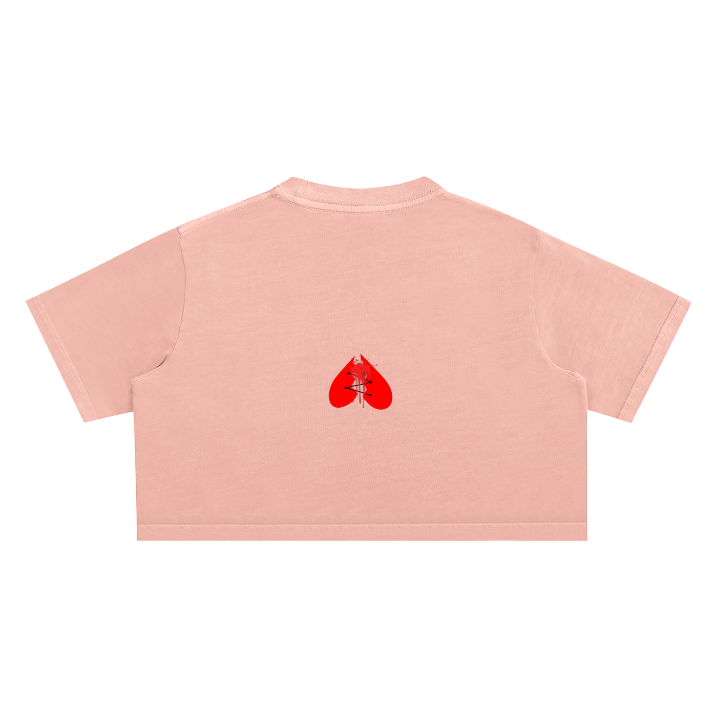 Woman's Snow Washed Crop Top
