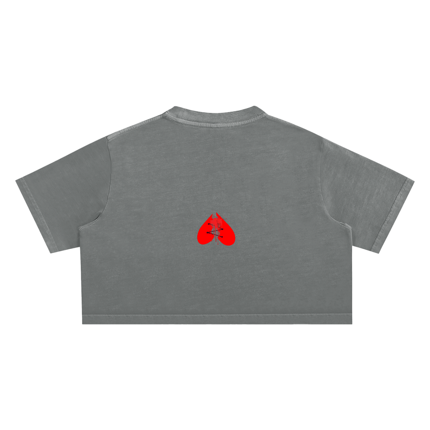 Woman's Snow Washed Crop Top