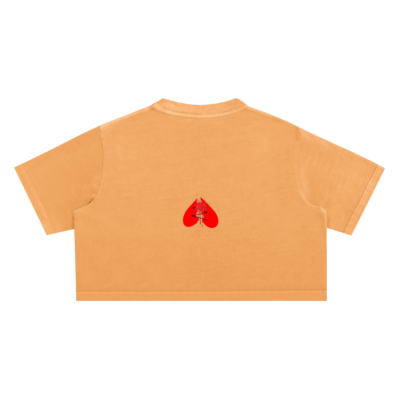 Woman's Snow Washed Crop Top